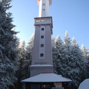 1385969511-javornik