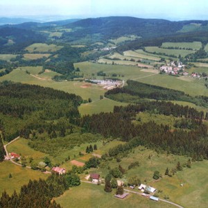 Nicov