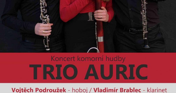 Koncert komorní hudby - TRIO AURIC
