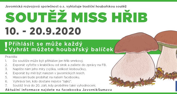 Soutěž MISS HŘIB (online)