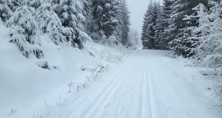 Bílá stopa na Javorníku a okolí