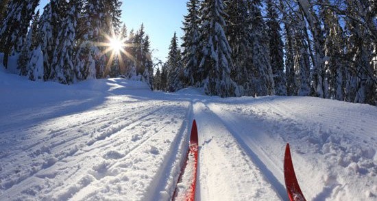 Rozšíření Bílé stopy na Javorník na Šumavě