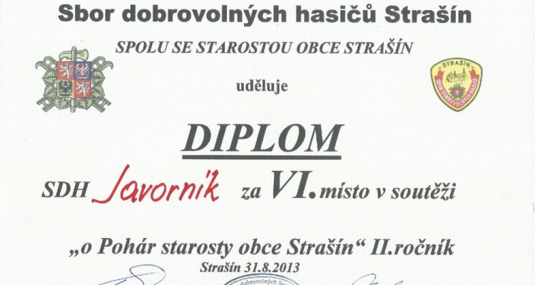 Diplom_muzi_Strasin_2013-page-001