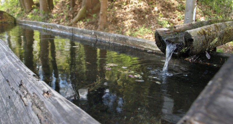 Studánka ve Žlíbku