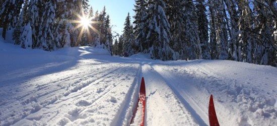 Bílá stopa v oblasti Javorníku na Šumavě a okolí