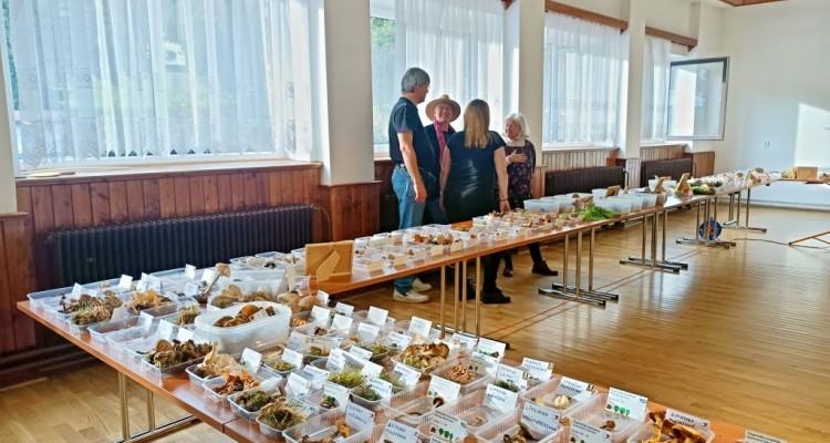 Houbařský víkend na Javorníku