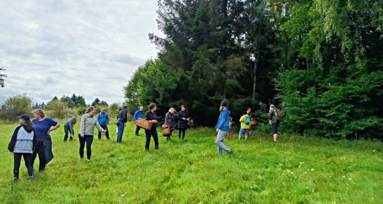 Houbařský víkend na Javorníku - mykologická procházka