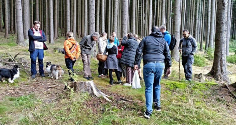 Houbařský víkend na Javorníku - mykologická procházka