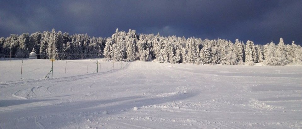 Sjezdové lyžování