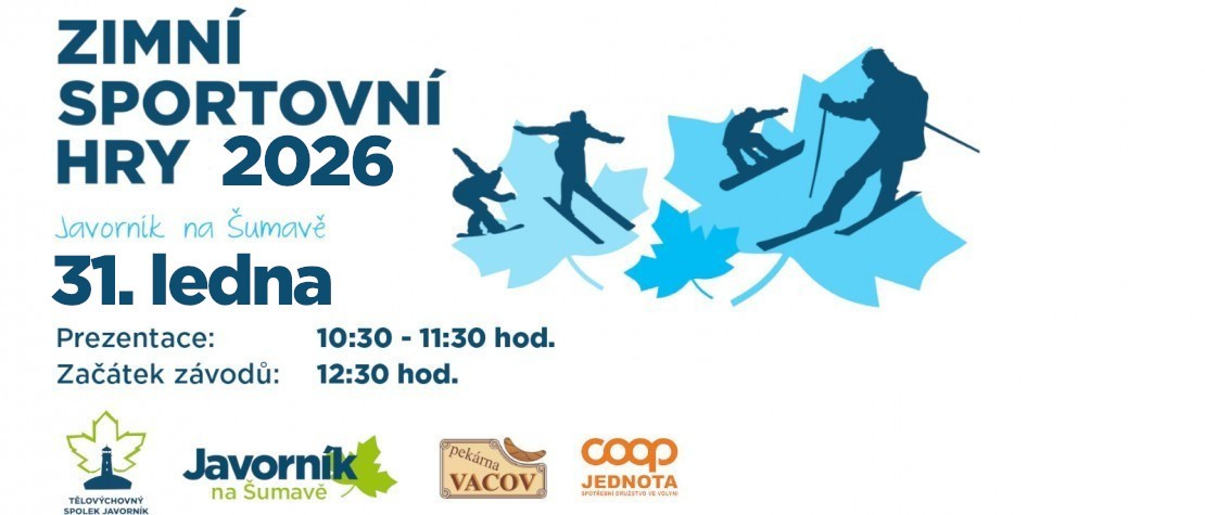 Zimní sportovní hry