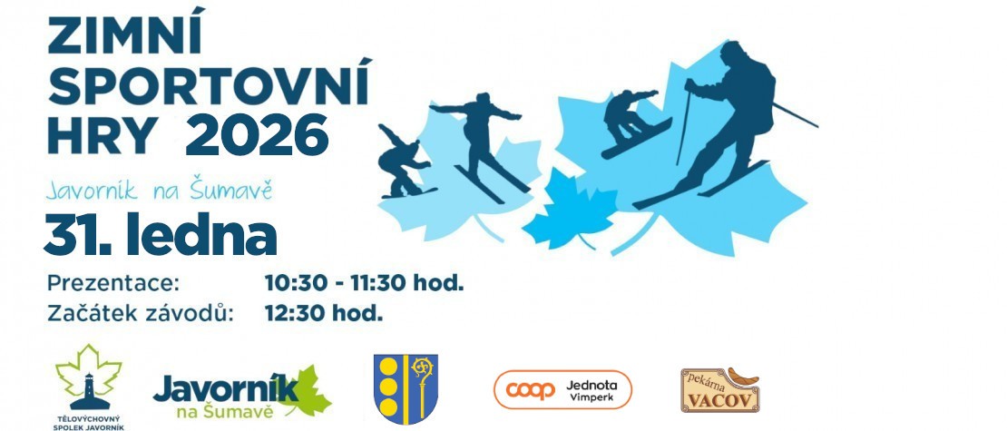 Zimní sportovní hry