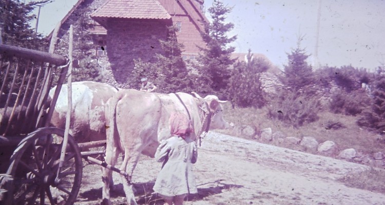 img00019