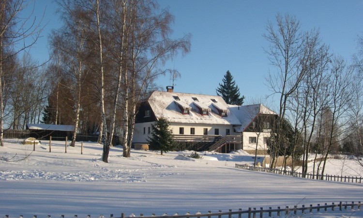 Zima